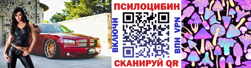 Псилоцибиновые грибы прущие грибы  блэк спрут ссылки  Энем 