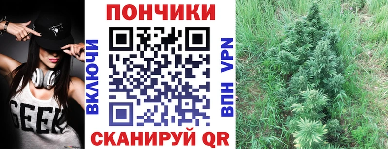 Канабис сатива  Энем 